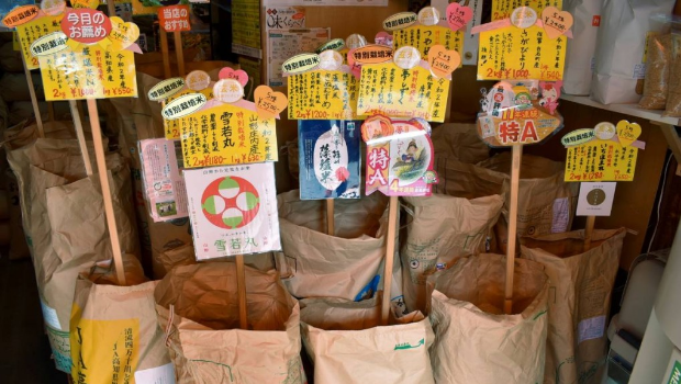 过去一年,日本大米价格已升近一倍。 过去一年,日本大米价格已升近一倍。