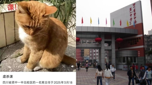 四川中学老师当学生面虐杀小猫,教体局已介入调查。 四川中学老师当学生面虐杀小猫,教体局已介入调查。