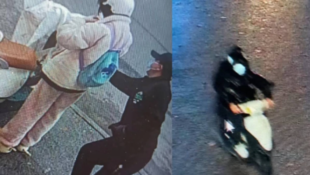 在有多位游客手机在江西景德镇被偷。 在有多位游客手机在江西景德镇被偷。