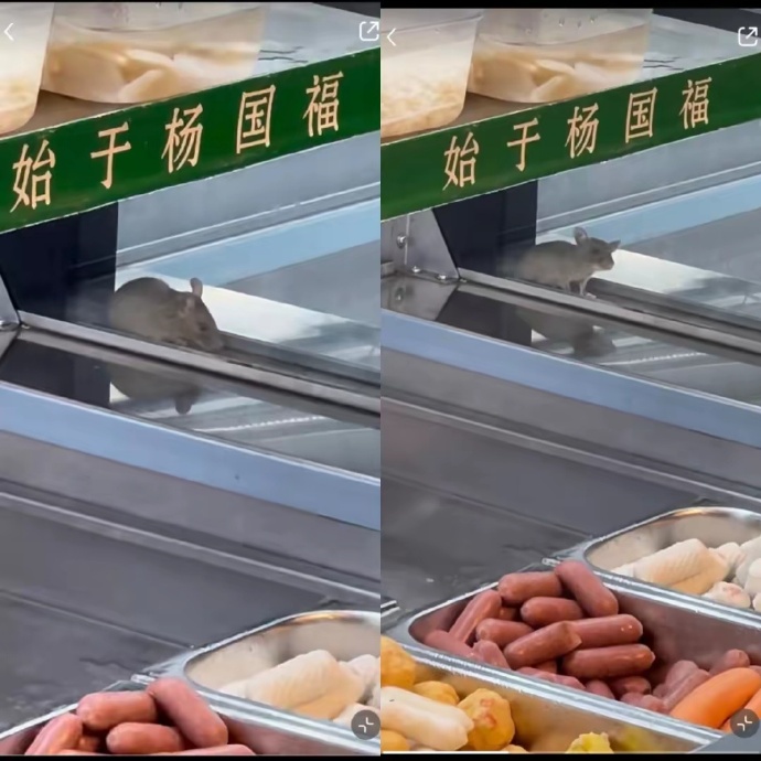 杨国福麻辣烫多次被食客发现有老鼠。 杨国福麻辣烫多次被食客发现有老鼠。