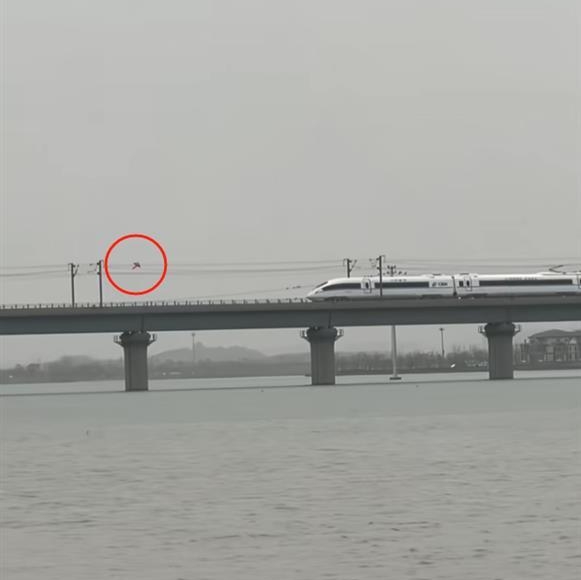 铁路桥电缆上有风筝,高速列车被逼停。 微博 铁路桥电缆上有风筝,高速列车被逼停。 微博
