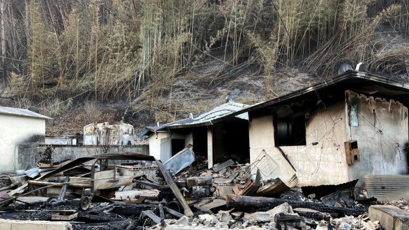 山清郡房屋被山火烧毁。 路透社 山清郡房屋被山火烧毁。 路透社