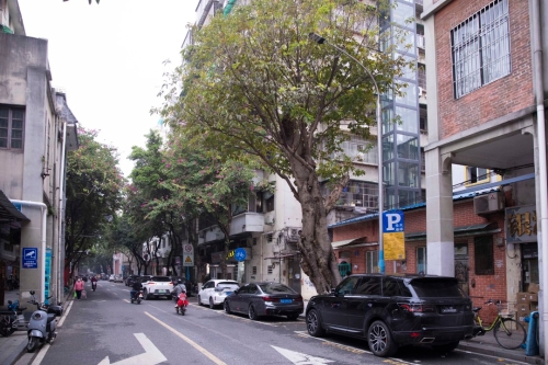 米市路(广州日报新花城记者苏俊杰摄) 米市路(广州日报新花城记者苏俊杰摄)