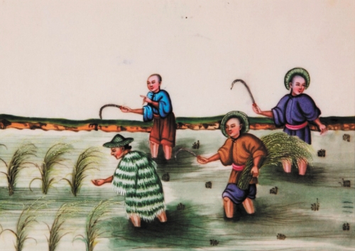 通草画中广州农事场景 通草画中广州农事场景