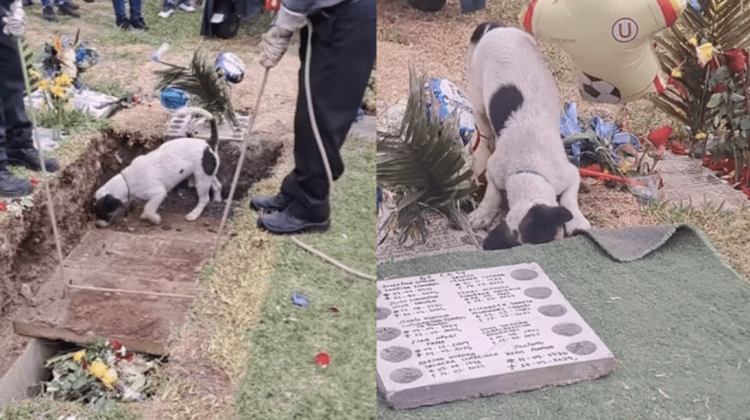 fb@saltapeque fb@saltapeque