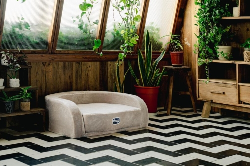 曾有市民求购「主子床褥」却遇上「断货」,连陈列品亦买回家中。 曾有市民求购「主子床褥」却遇上「断货」,连陈列品亦买回家中。