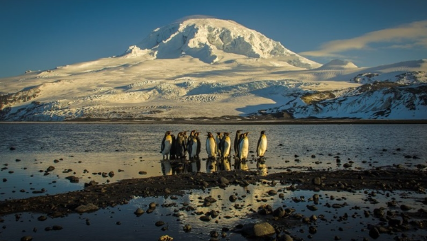 Heard and McDonald Islands。 澳洲国家科学局 Heard and McDonald Islands。 澳洲国家科学局