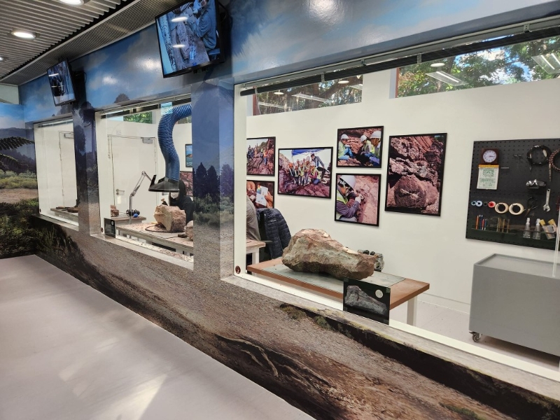 (图片授权:FB@海马仔 · 海马妈妈) (图片授权:FB@海马仔 · 海马妈妈)