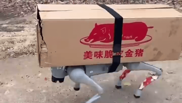 “华南F3”祭祖新招 “华南F3”祭祖新招