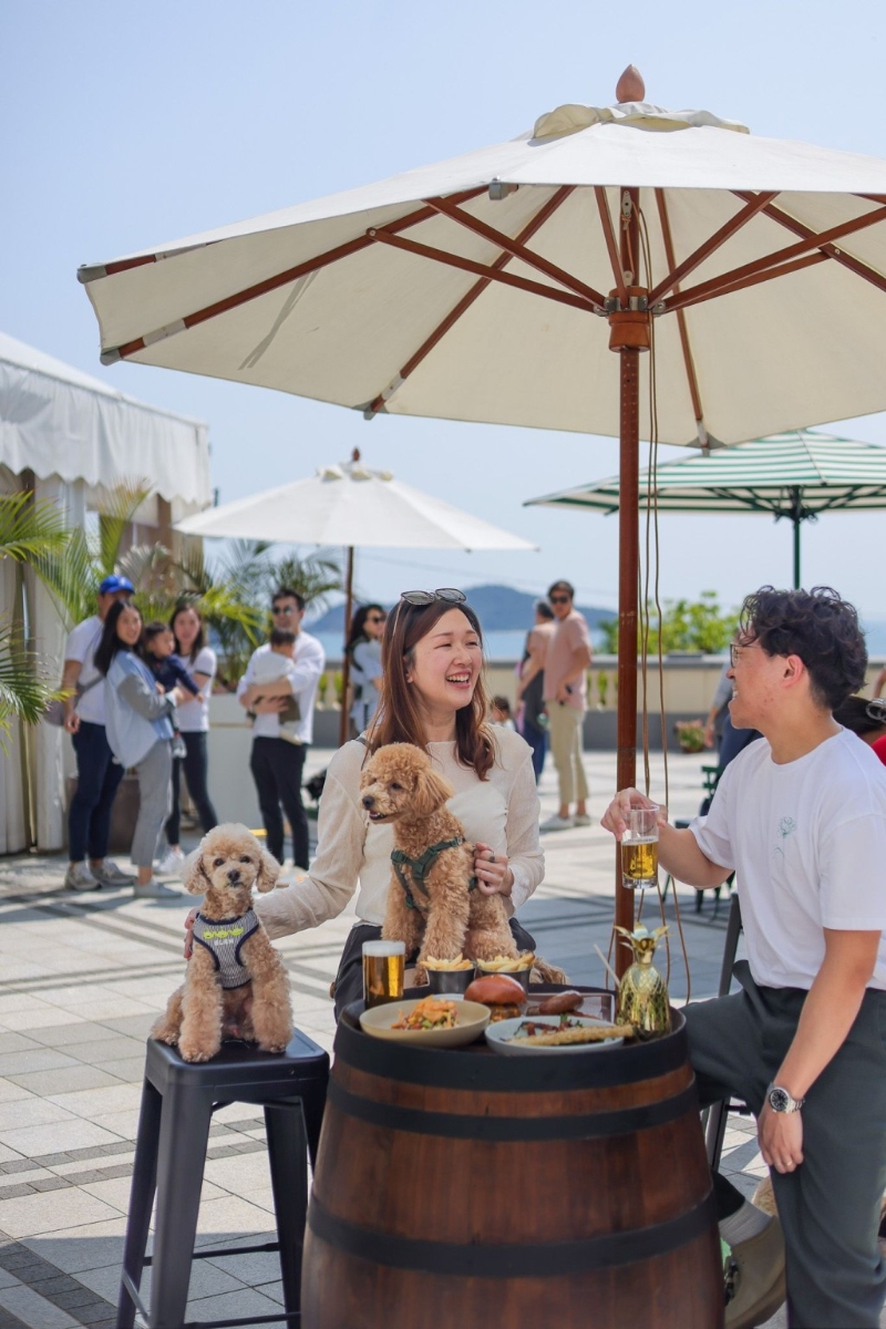 周末好去处2 周末好去处2