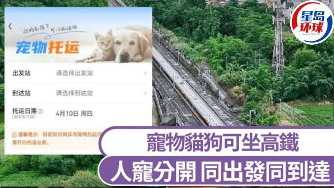 宠物托运 宠物托运