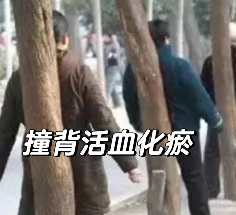 内地中老年人练「撞树功」养生。小红书@八方 内地中老年人练「撞树功」养生。小红书@八方