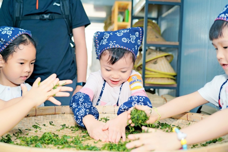 采茶制茶体验(图片来源:KKday) 采茶制茶体验(图片来源:KKday)