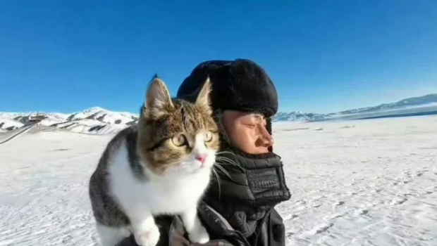 “悟空”与赵朔的人猫情 “悟空”与赵朔的人猫情