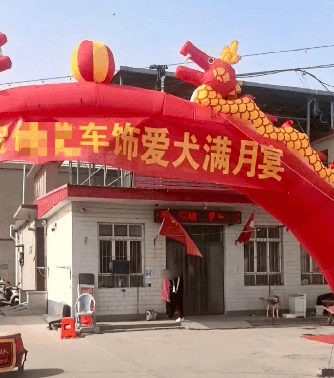 给狗办满月宴 给狗办满月宴