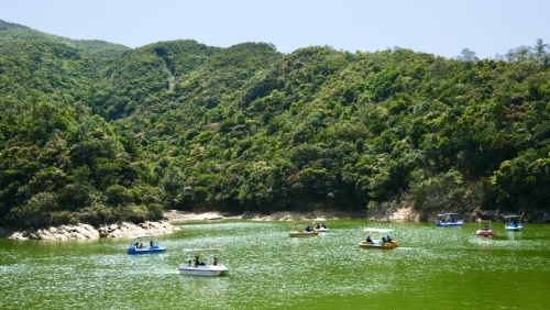 趁春光明媚,一起到黄泥涌水塘踩船仔欣赏自然景致。 趁春光明媚,一起到黄泥涌水塘踩船仔欣赏自然景致。