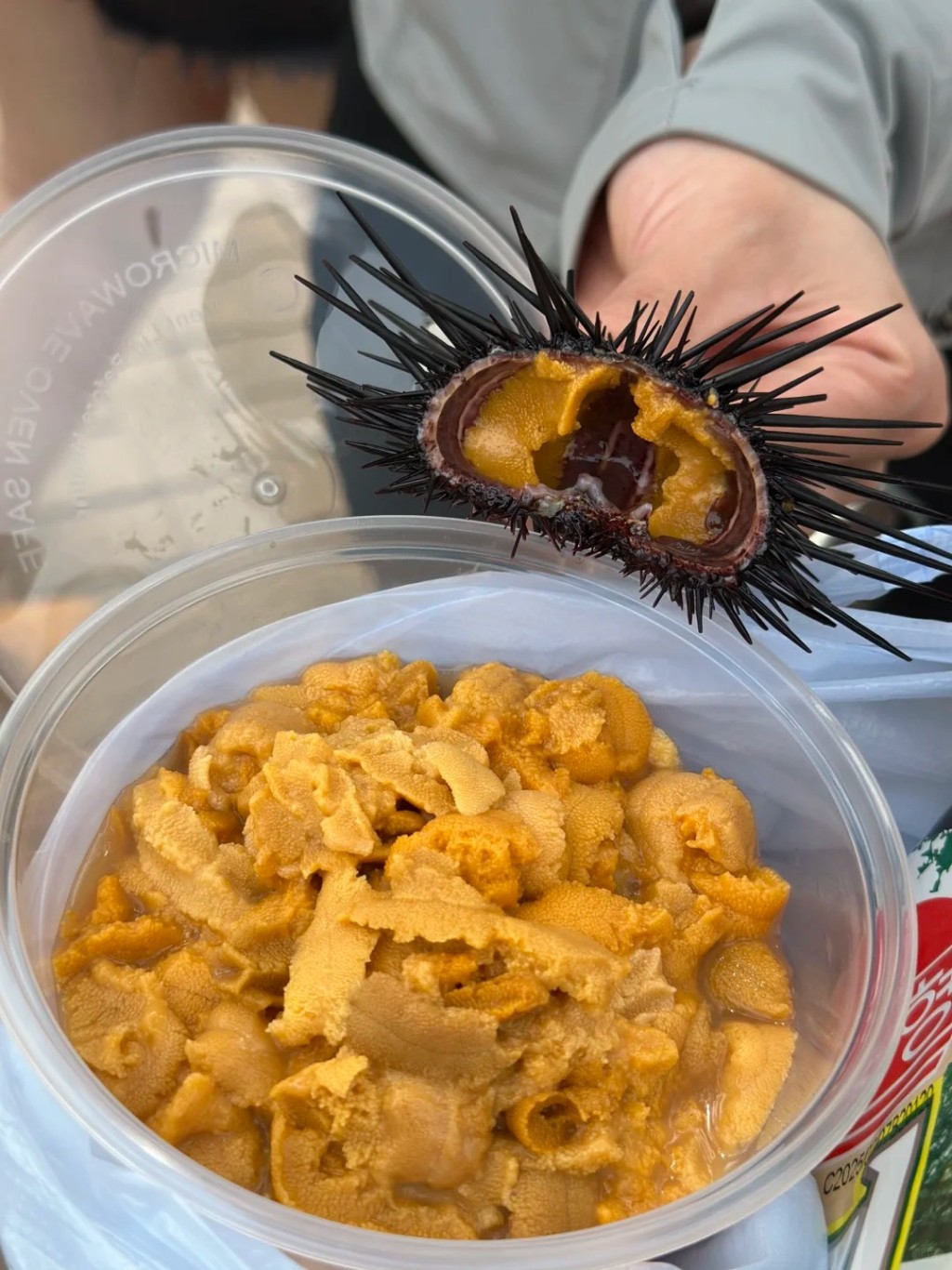 一碗只需约$230。 一碗只需约$230。