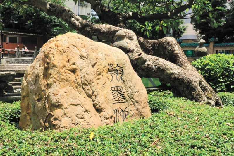 摄影:骆昌威-.jpg 摄影:骆昌威-.jpg