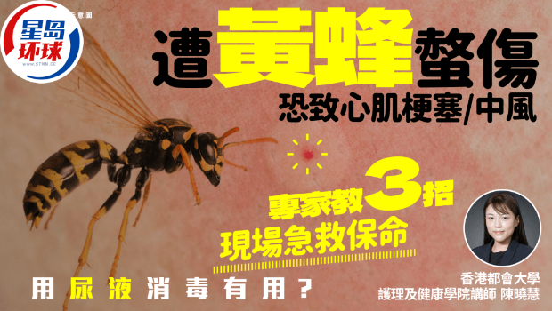 遭黄蜂螫伤恐致心肌梗塞或中风 遭黄蜂螫伤恐致心肌梗塞或中风
