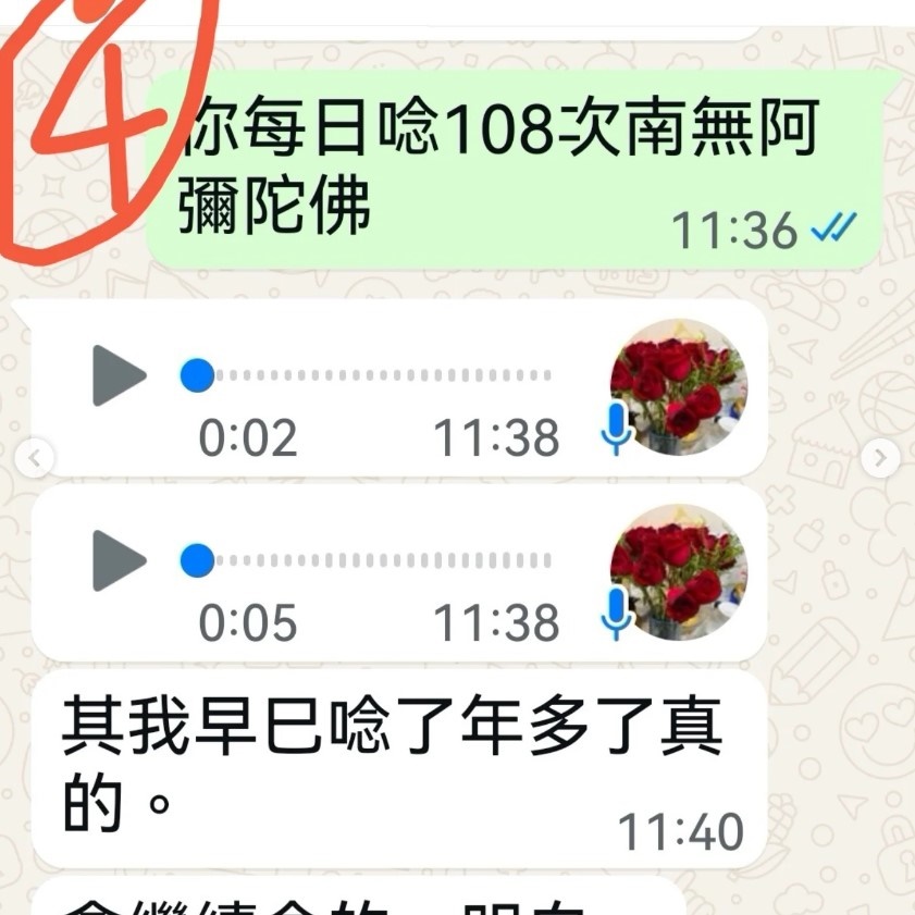 七仙羽贴出多张Whatsapp截图 七仙羽贴出多张Whatsapp截图