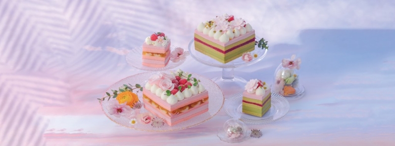 LIFETASTIC红桑子主题蛋糕 LIFETASTIC红桑子主题蛋糕