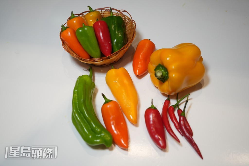 7款常见辣椒 7款常见辣椒