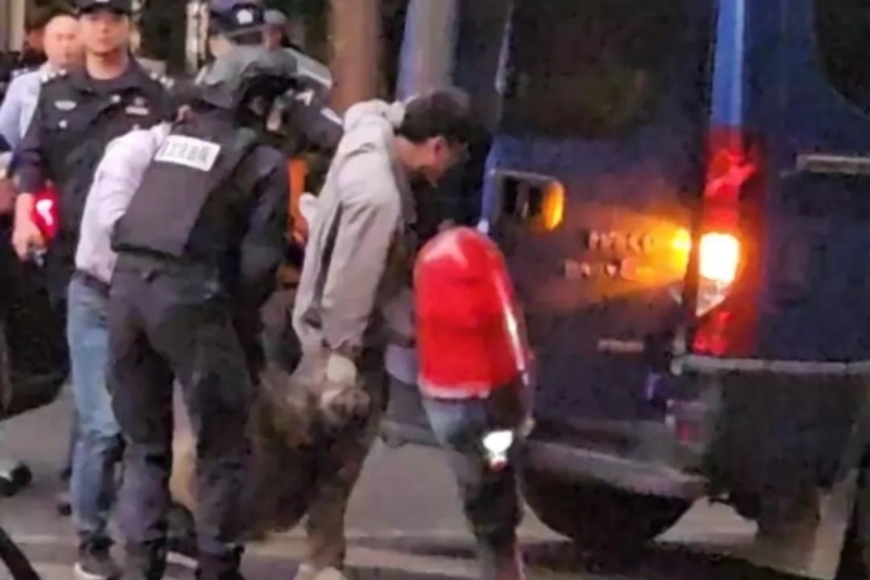 涉事野猪已被捉走。 涉事野猪已被捉走。