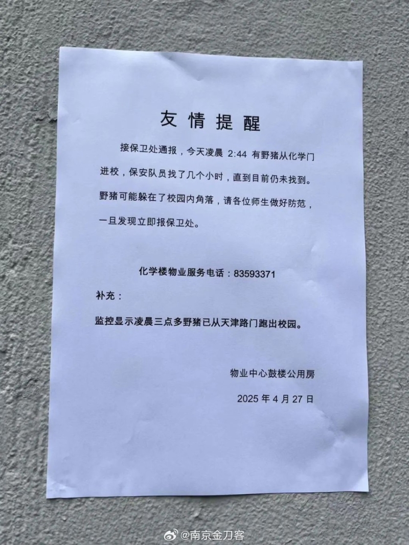 南京大学保安贴出野猪出没的告示。 南京大学保安贴出野猪出没的告示。
