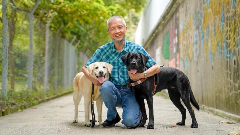 Deanna(左)退役后由曾建平领养,现时由另一导盲犬Vinny(右)引路。 受访者提供 Deanna(左)退役后由曾建平领养,现时由另一导盲犬Vinny(右)引路。 受访者提供