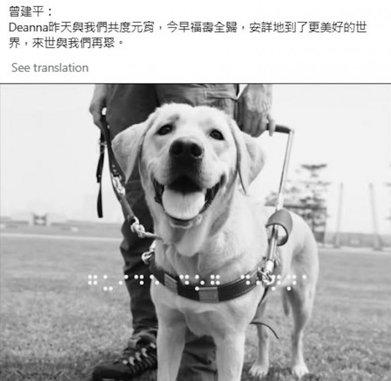 农历年期间,导盲犬Deanna离世,曾建平伤心不已。 受访者提供 农历年期间,导盲犬Deanna离世,曾建平伤心不已。 受访者提供
