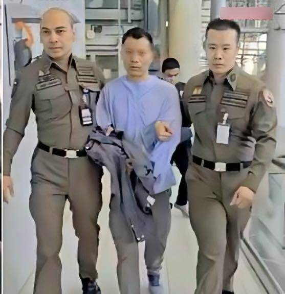 泰国警方在机场拘捕企图离境回中国的疑凶。 暹罗飞鸟 泰国警方在机场拘捕企图离境回中国的疑凶。 暹罗飞鸟