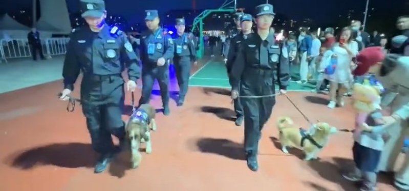 人气警犬福仔当日“犯案”过程。 人气警犬福仔当日“犯案”过程。