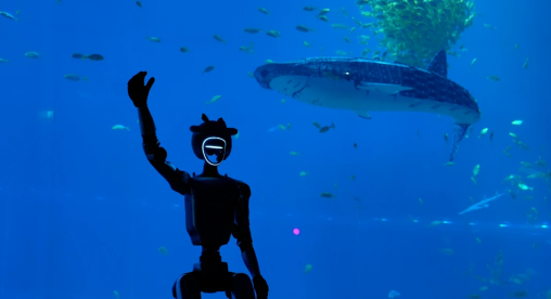 沉浸式体验 沉浸式体验