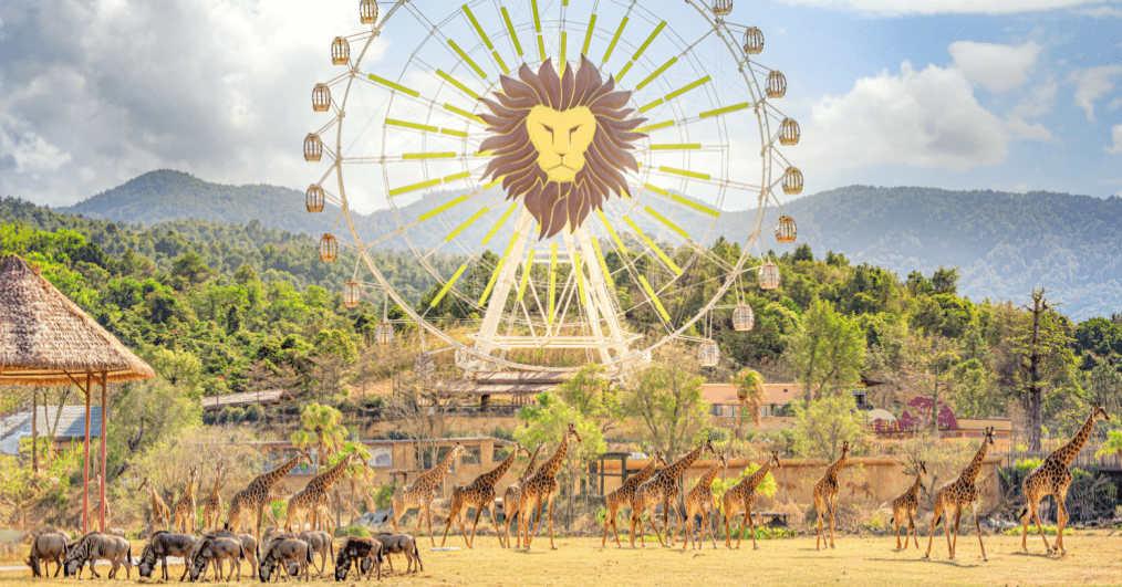 清远长隆森林王国 清远长隆森林王国