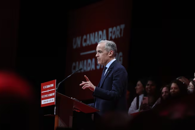 卡尼资料图 卡尼资料图