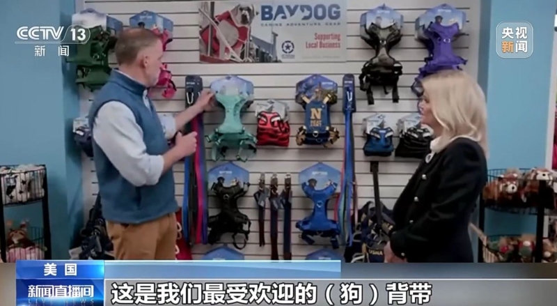 视频截图 视频截图