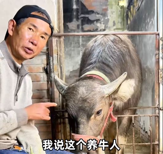 “绝命糖师”罗金成现在成为放牛网红。 抖音@放牛人和妞妞 “绝命糖师”罗金成现在成为放牛网红。 抖音@放牛人和妞妞