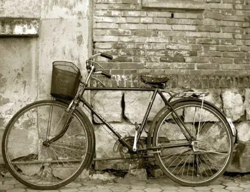 鳯凰单车是中国人的集体记忆。 小红书@logo设计老王 鳯凰单车是中国人的集体记忆。 小红书@logo设计老王