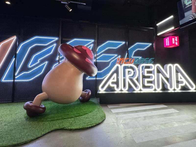 官方图片 官方图片