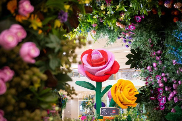 变花艺植物园 变花艺植物园