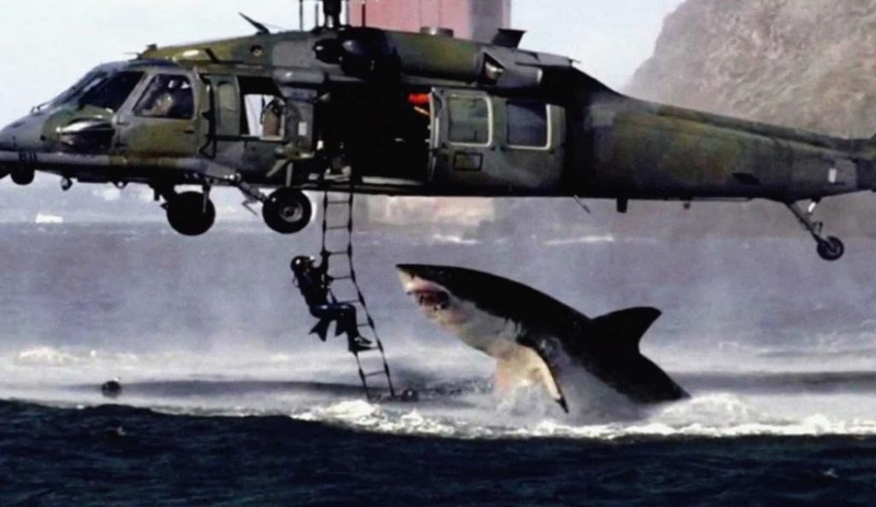2001年一张大白鲨攻击美军直升机的照片,如野火般在网上传开。 2001年一张大白鲨攻击美军直升机的照片,如野火般在网上传开。
