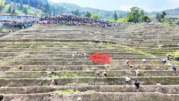 龙脊爬梯田比赛有人作弊,中途才开跑 龙脊爬梯田比赛有人作弊,中途才开跑