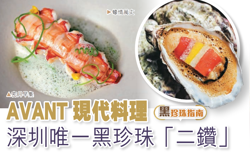 深圳唯一黑珍珠 深圳唯一黑珍珠