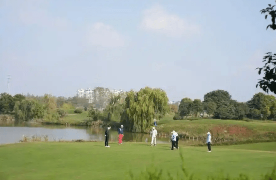 高尔夫球场 高尔夫球场