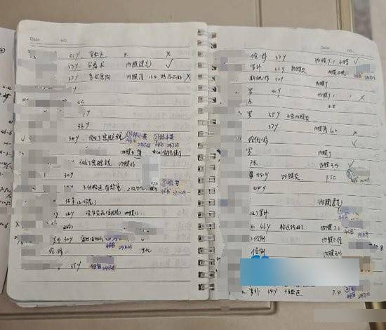 记笔记详细记录代孕女的个人资料。 记笔记详细记录代孕女的个人资料。