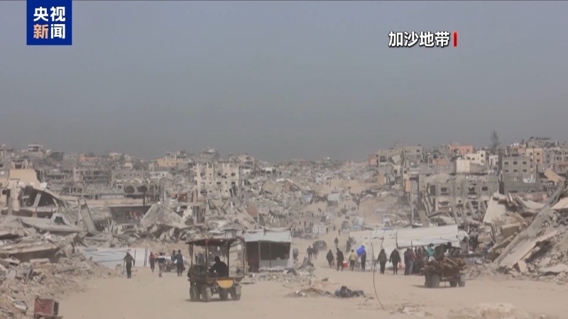 加沙 加沙