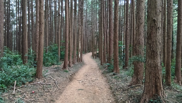 有熟悉当地的山友指现场区域或有熊出没。X@MUMUMU252595 有熟悉当地的山友指现场区域或有熊出没。X@MUMUMU252595
