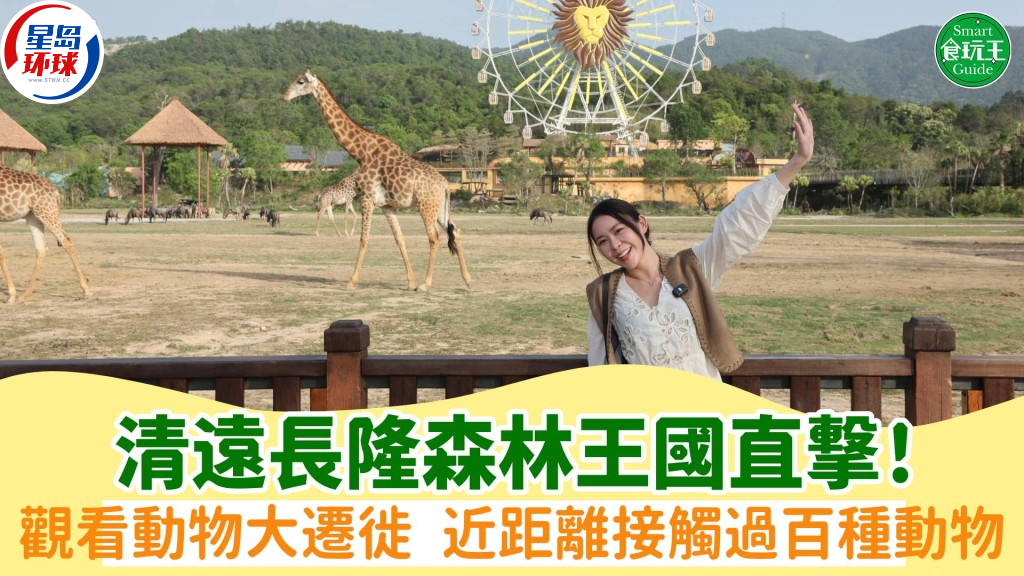 清远长隆森林王国直击 清远长隆森林王国直击