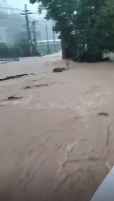 广西隆林暴雨引致山洪,造成3死1失踪。 小红书@重生之我5点起床 广西隆林暴雨引致山洪,造成3死1失踪。 小红书@重生之我5点起床