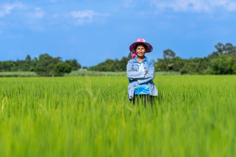 与30位泰国当地农民合作,实施可持续种植技术。(相片由DFI零售集团提供) 与30位泰国当地农民合作,实施可持续种植技术。(相片由DFI零售集团提供)